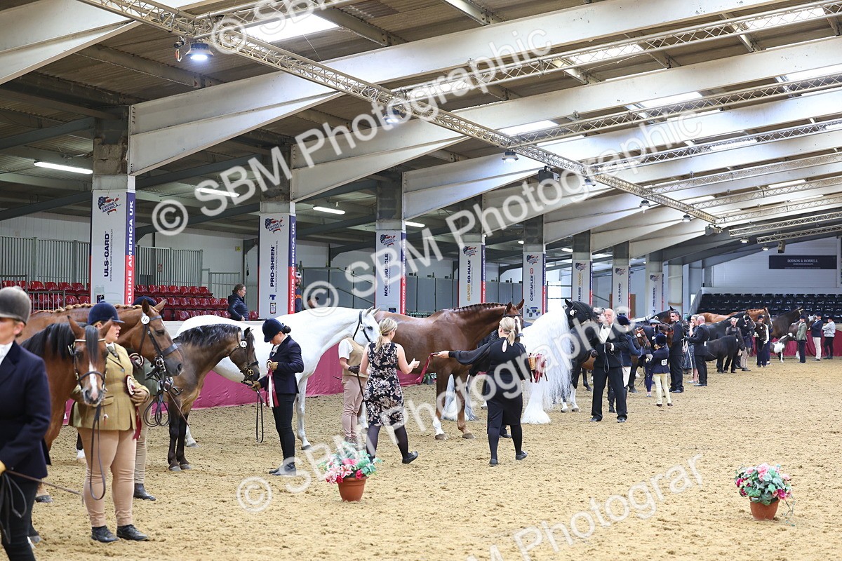 SBM_22916 - Class 903 - Supreme Final - IH Pre Vet