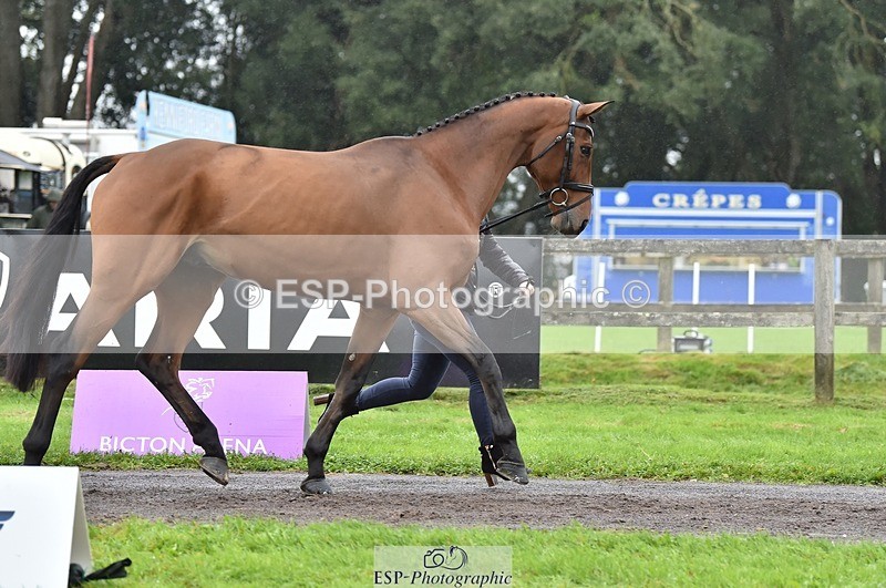 231018-122518-00280 - 034-COOLEY.PARK.MUZE-Gemma.Stevens-TrotUp