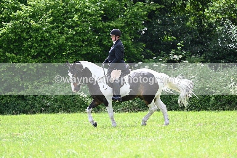 WJ7_2628 - Class 12A Coloured Class