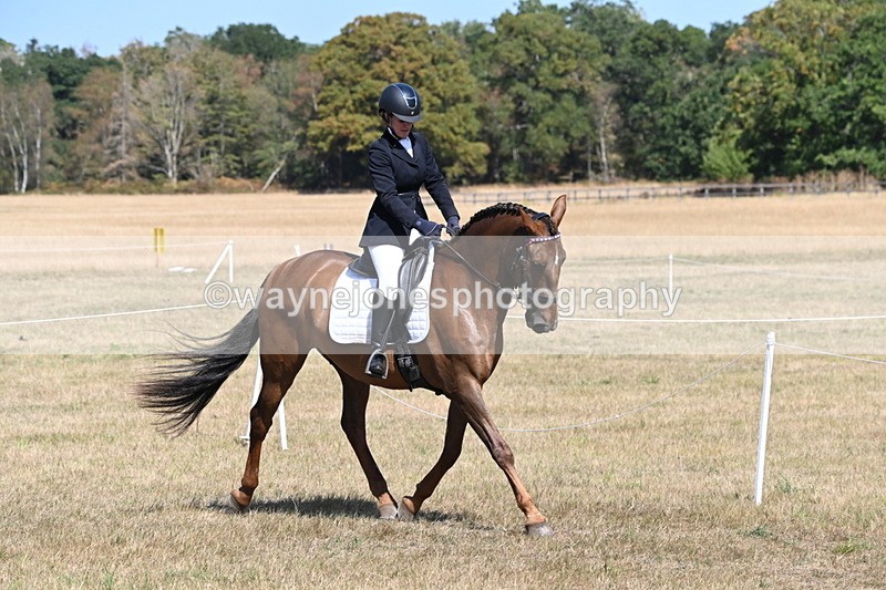 WJ6_9173 - Championship Classes 33-38