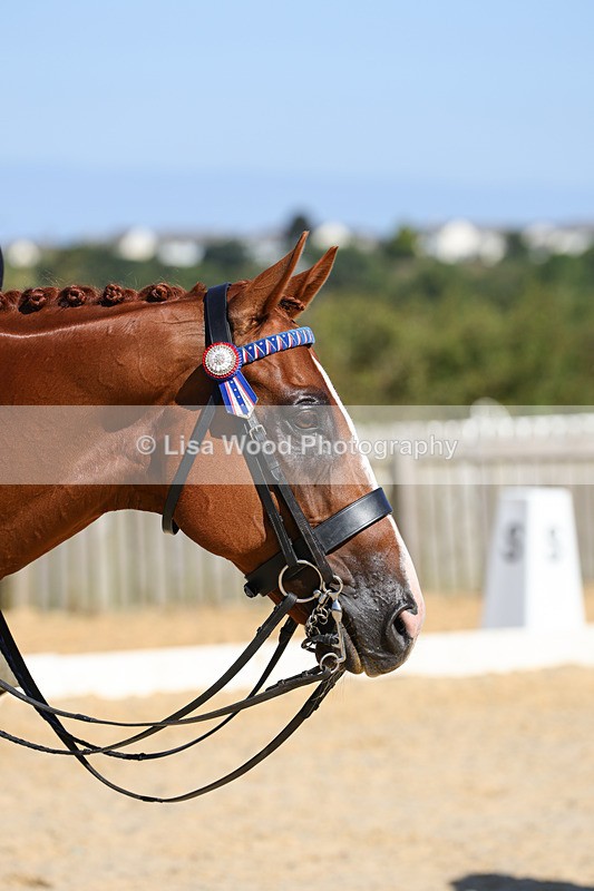 1X9A7914 - Class 10:Riding Horse