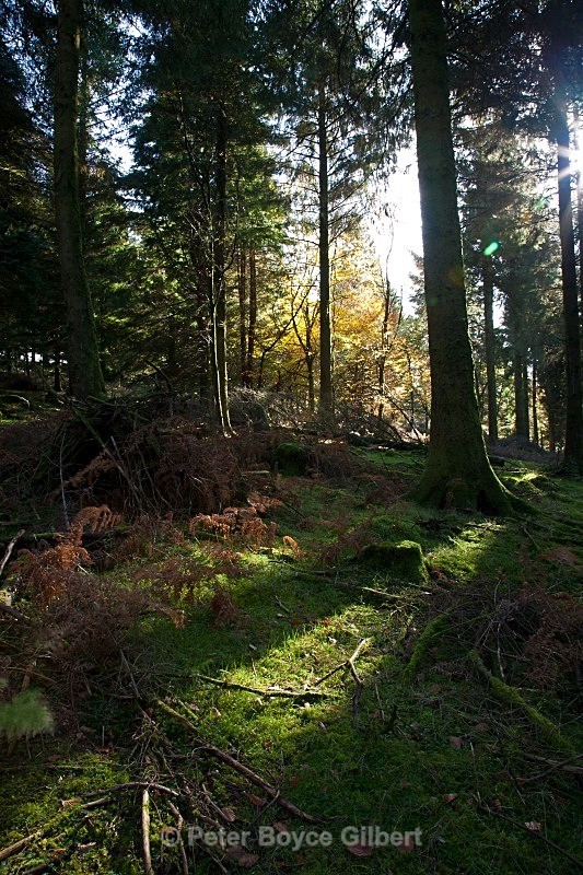  - The Moors