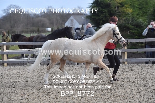 BPP_8772 - RING 2 - M&M