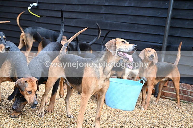 WJ7_6990 - Berks & Bucks at Blandy’s Farm 31-08-25