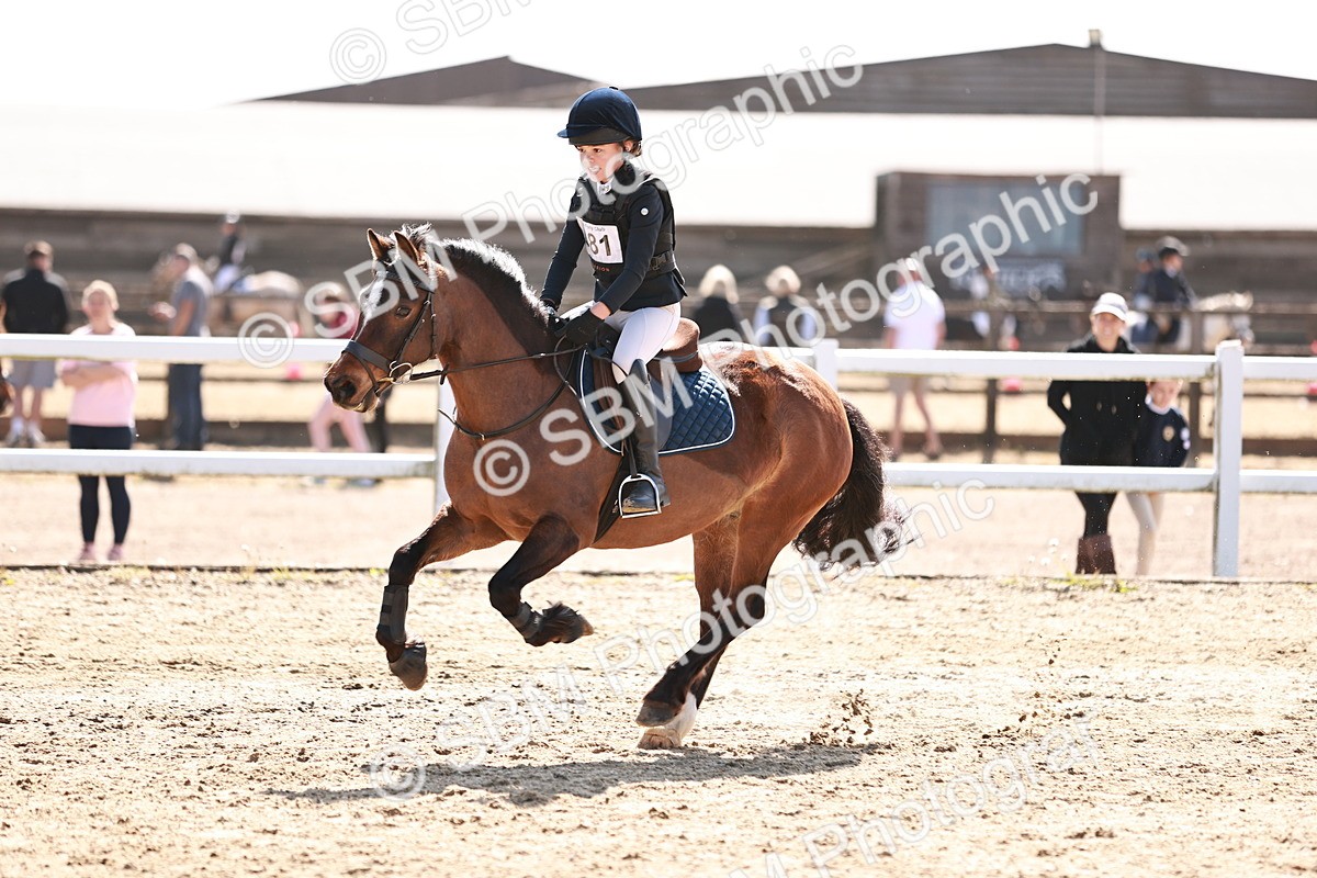 SBM_006834 - Class 2 - 50cm