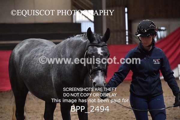 BPP_2494 - LOOSE JUMPING / SPSS