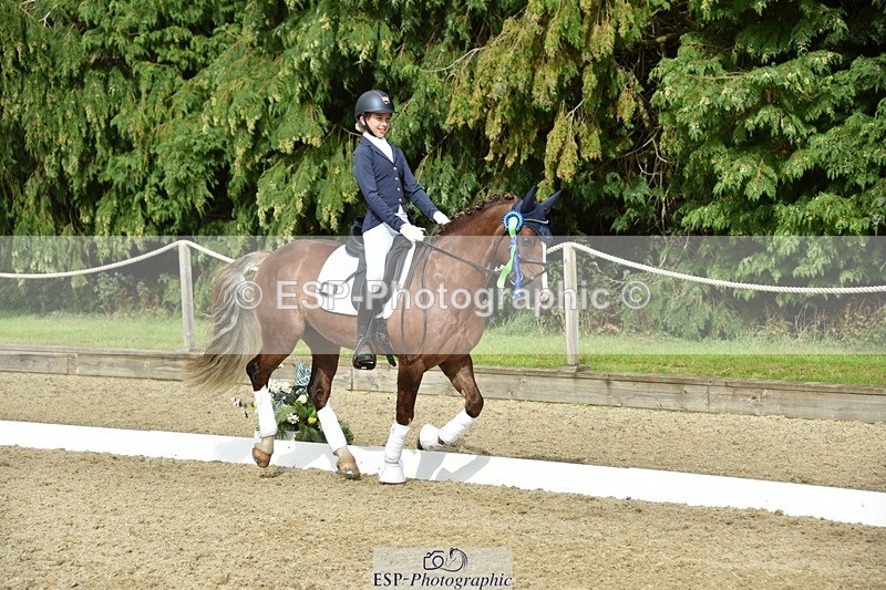 230812-160934-05446 - Novice Bronze Presentations