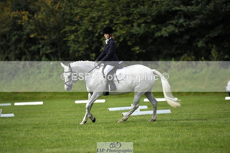 230826-104537-15594 - Sections C & D 10 to End