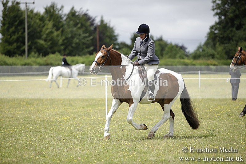 BVR160717-1925 - Ring 1 BVRC Show 16/07/17