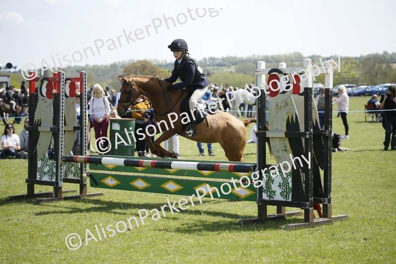 20250427-3503 - Class 14 - Absolute Novice 70cm