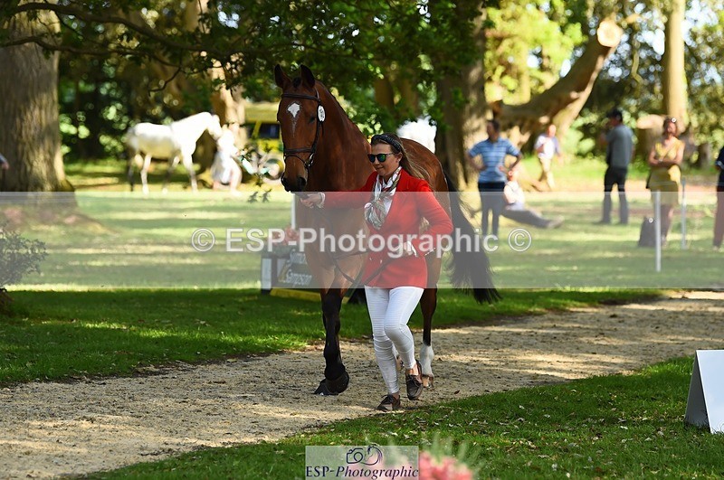 230524-170416-01268 - 152-RENKUM_JITTERBUG-Phoebe_Locke-WEDTrotUp+DR