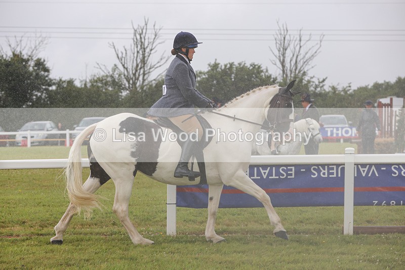 1X9A3008 - Class 26: Ridden Plaited Coloured Pony