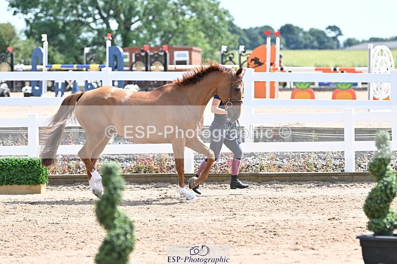 240717A-145955-02418 - Trot Up 2pm to 3pm - This folder is not in time order