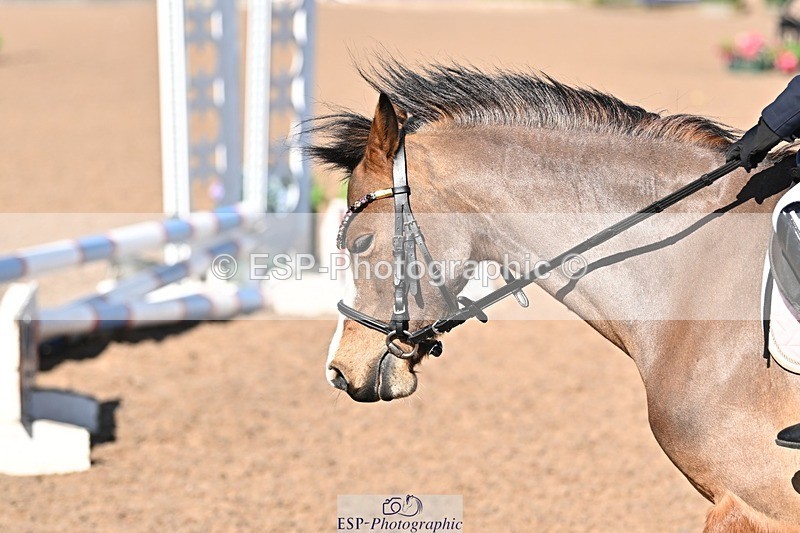 250401-160414-00019 - Clear round