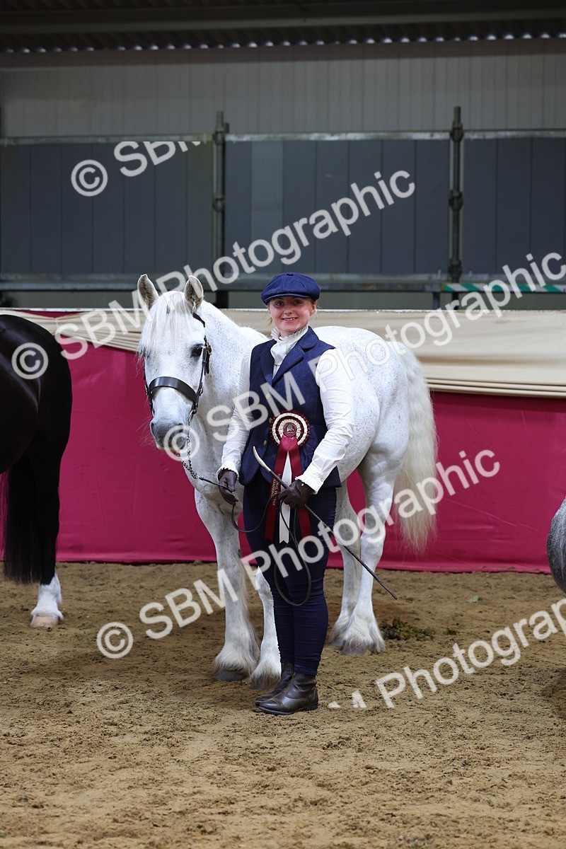 SBM_22968 - Class 903 - Supreme Final - IH Pre Vet