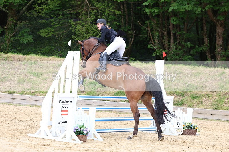 3E7A6057 - Class 4: Senior British Novice/90cm open
