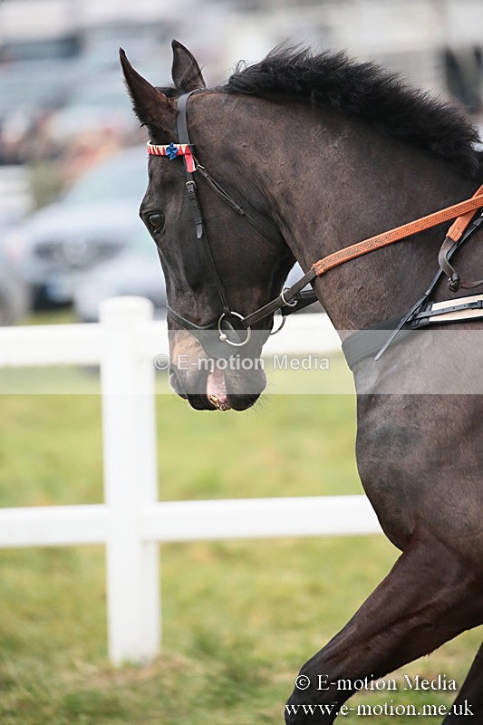 PtP 170219 -382 - Combined Services Point-To-Point Larkhill 17/02/19