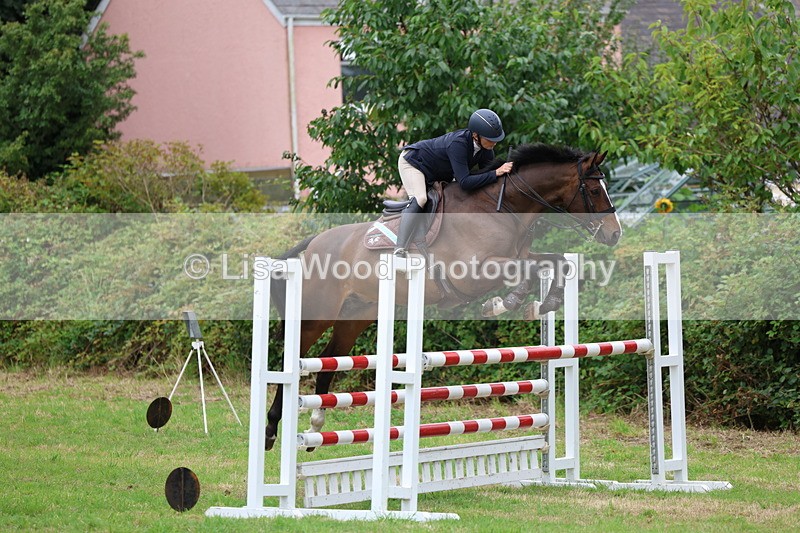 3E7A8311 - Class 8: Senior Foxhunter/1.20m open