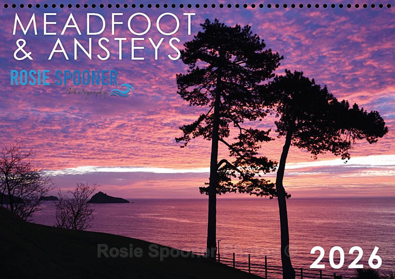 SOLD OUT- Meadfoot and Ansteys Calendar 2026 - 2026 CALENDARS (Reduced)