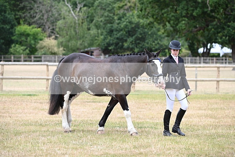 WJ6_4548 - Class 10 Coloured In-hand