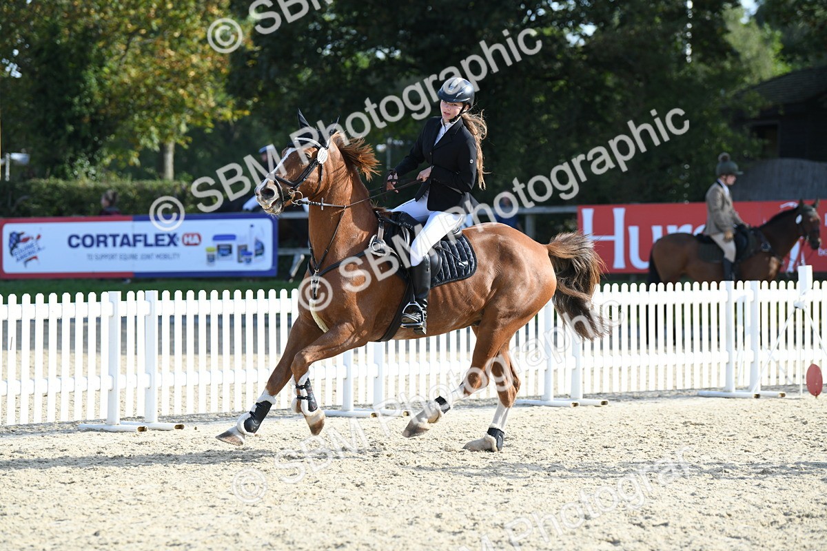 SBM_60566 - j25 - Junior Horse 80cm Championship