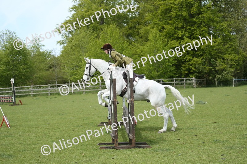 20260426-2073 - Class 15 - Absolute Novice 70cm