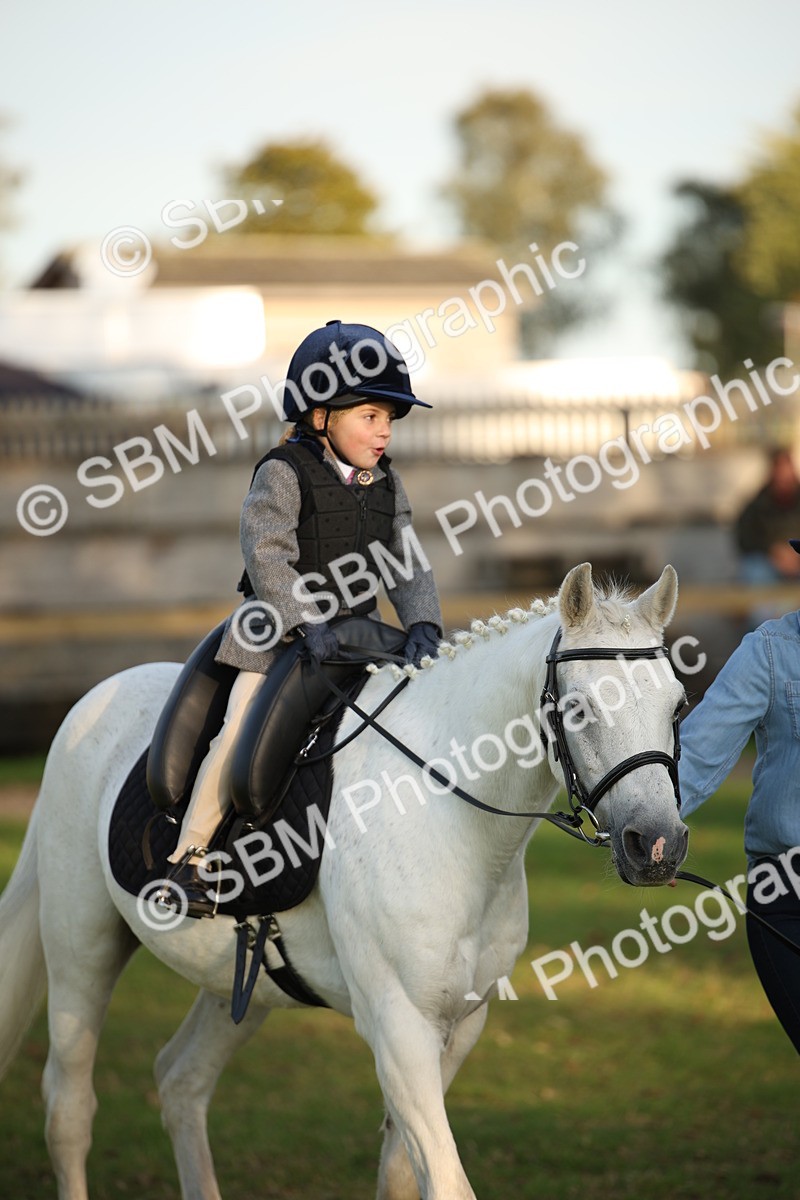 SBM_54480 - S27 - Mature Veteran - Ridden