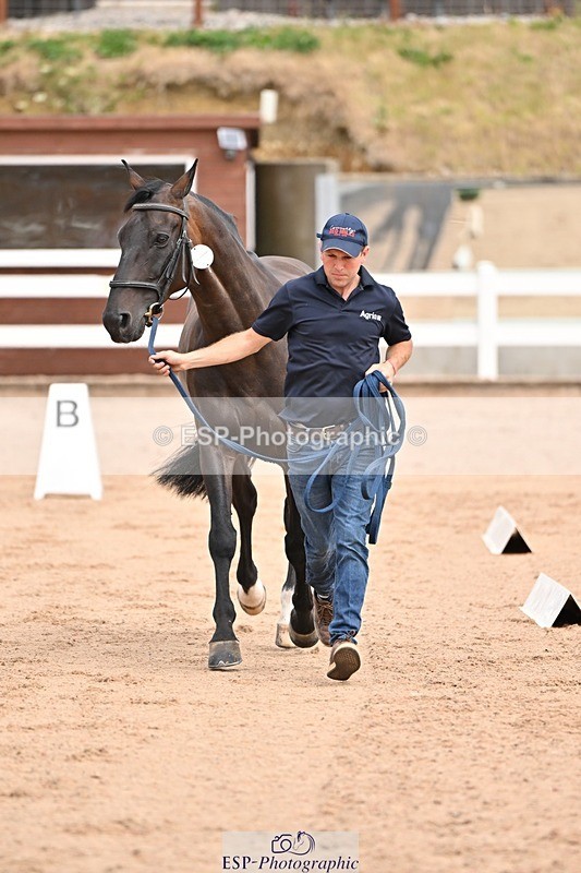 250716-150748-01659 - Trot Up 2.30 to 3.30