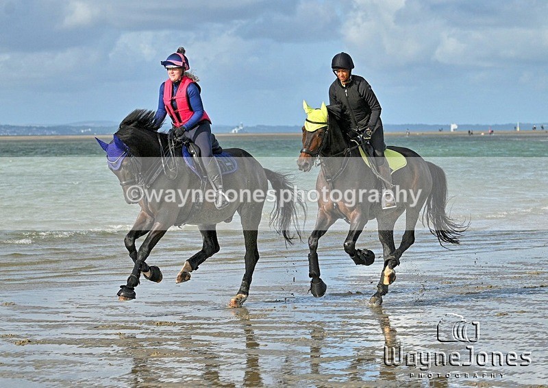 WJ7_4416_1 - Kellie & Churchill ... do Hayling Island 25-08-24