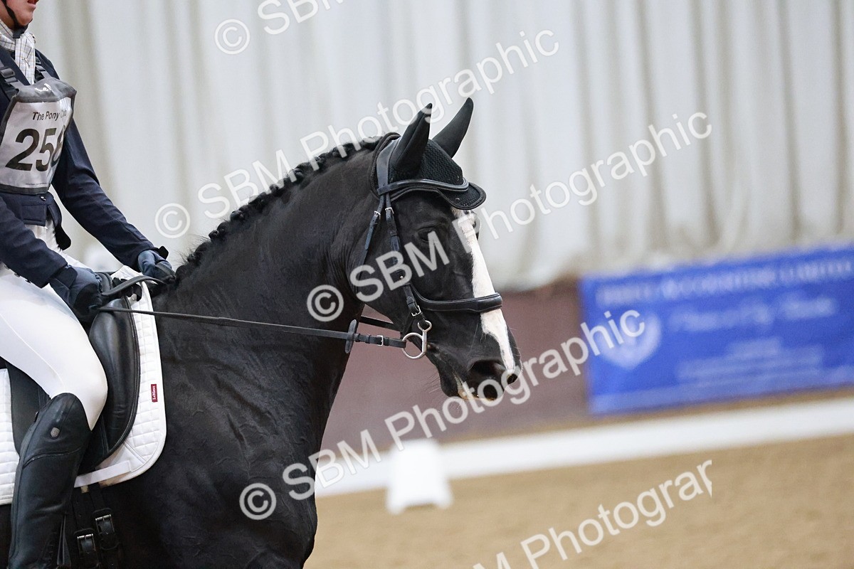 SBM_004631 - Ring 3 - International -  Working Hunter Classes 23-2-25
