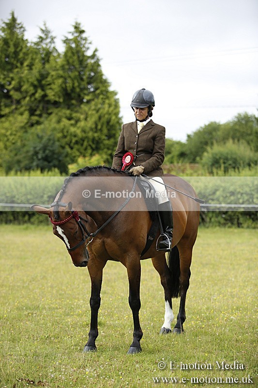 BVR160717-318 - Ring 1 BVRC Show 16/07/17