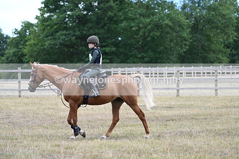 WJ7_1591 - 60cm Time 13:20 to 14:27