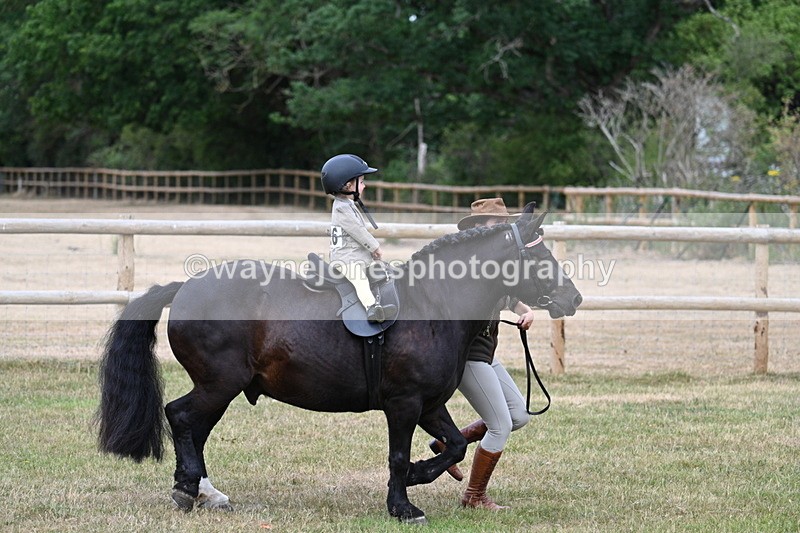 WJ7_9674 - Class 1 Lead Rein Pony