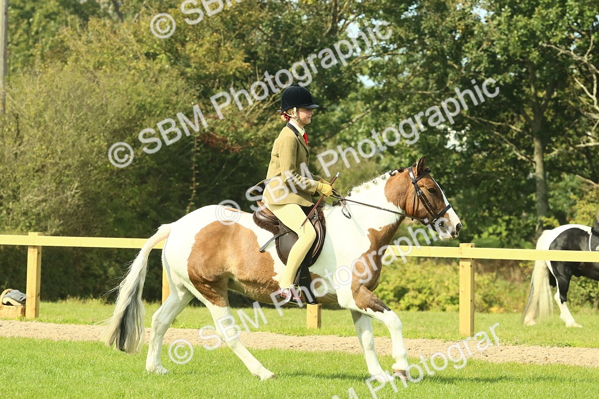 SBM_67464 - S56 - Coloured Pony Ridden
