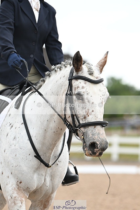 250705-104612-00994 - Intro3 Sections BDI3SEN, BDI3JNR 09.30 to 10.36