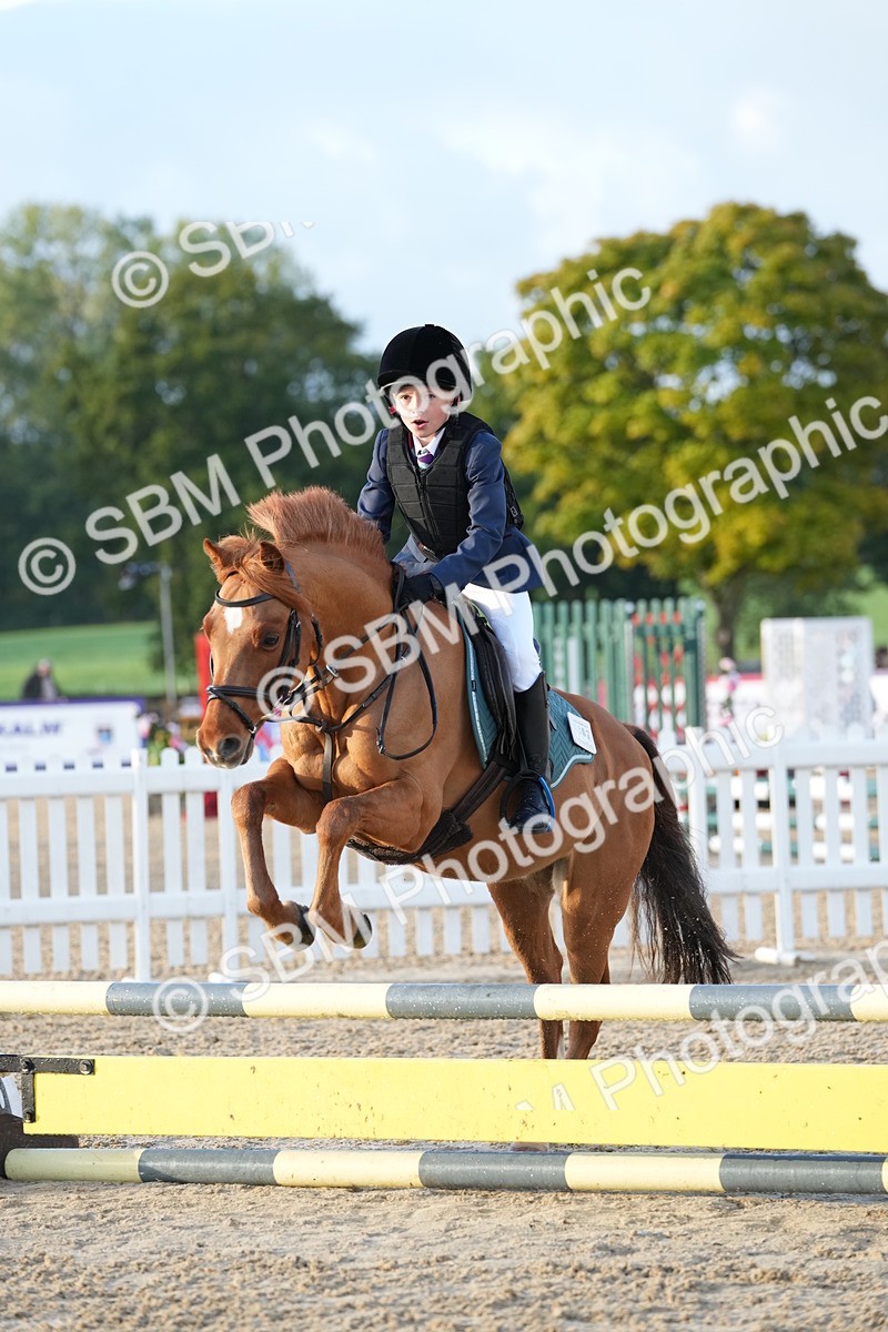 SBM_32146 - J5 - Junior Pony 50cm Championship