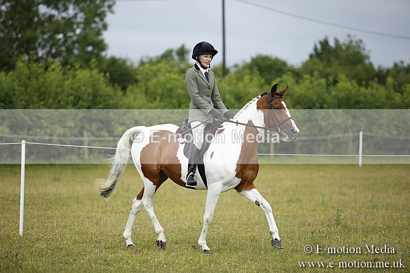 BVR160717-261 - Ring 1 BVRC Show 16/07/17