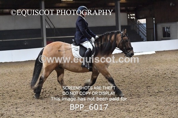 BPP_6017 - ELEM TEST 4