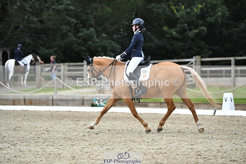 230812-123850-04179 - Cls 6 Novice Silver 12.10 to End