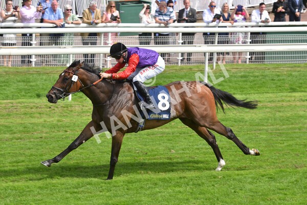 yr09072021r2-24 - Race 2: 2.40pm William Hill Summer Stakes