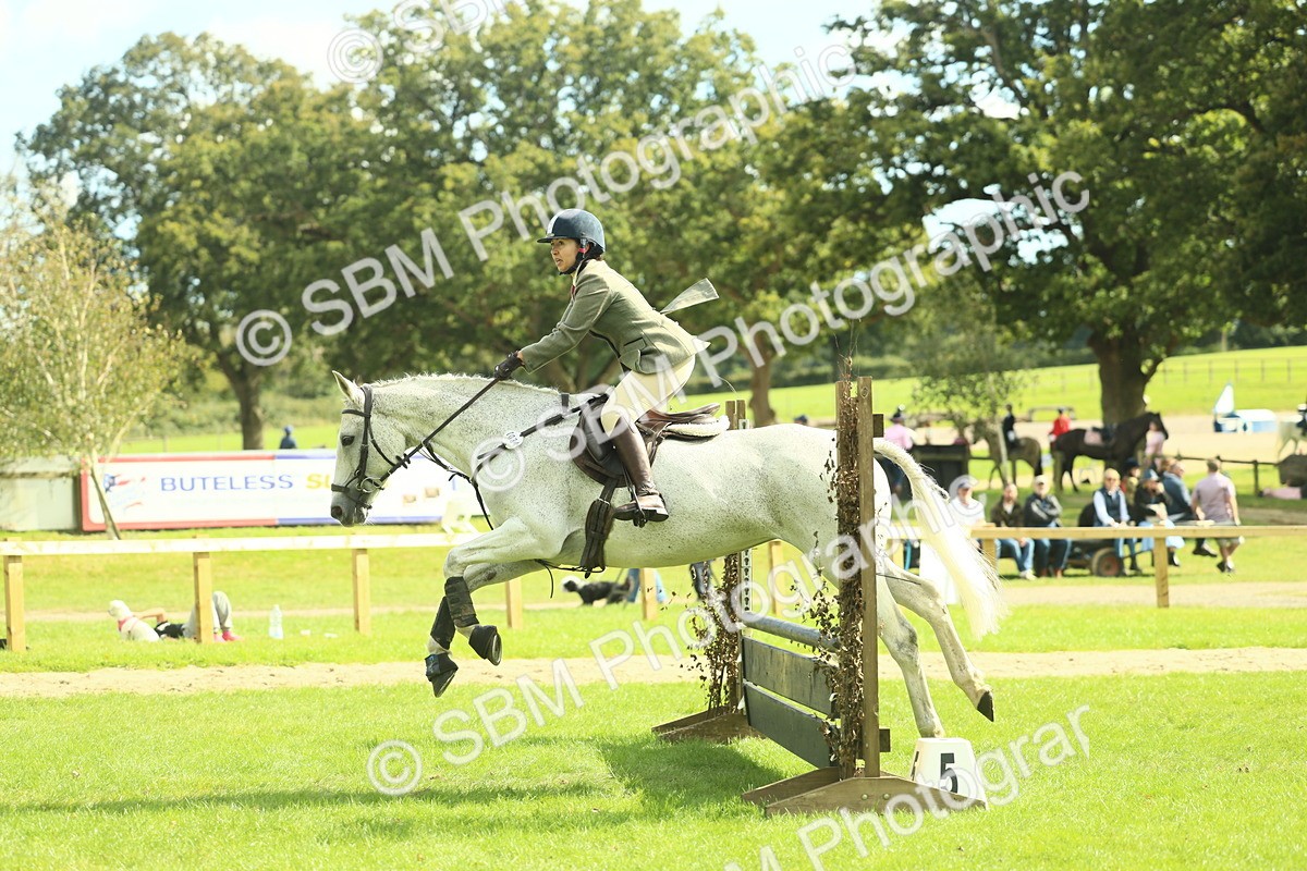 SBM_47914 - S32 - Novice & Newcomers Working Hunter
