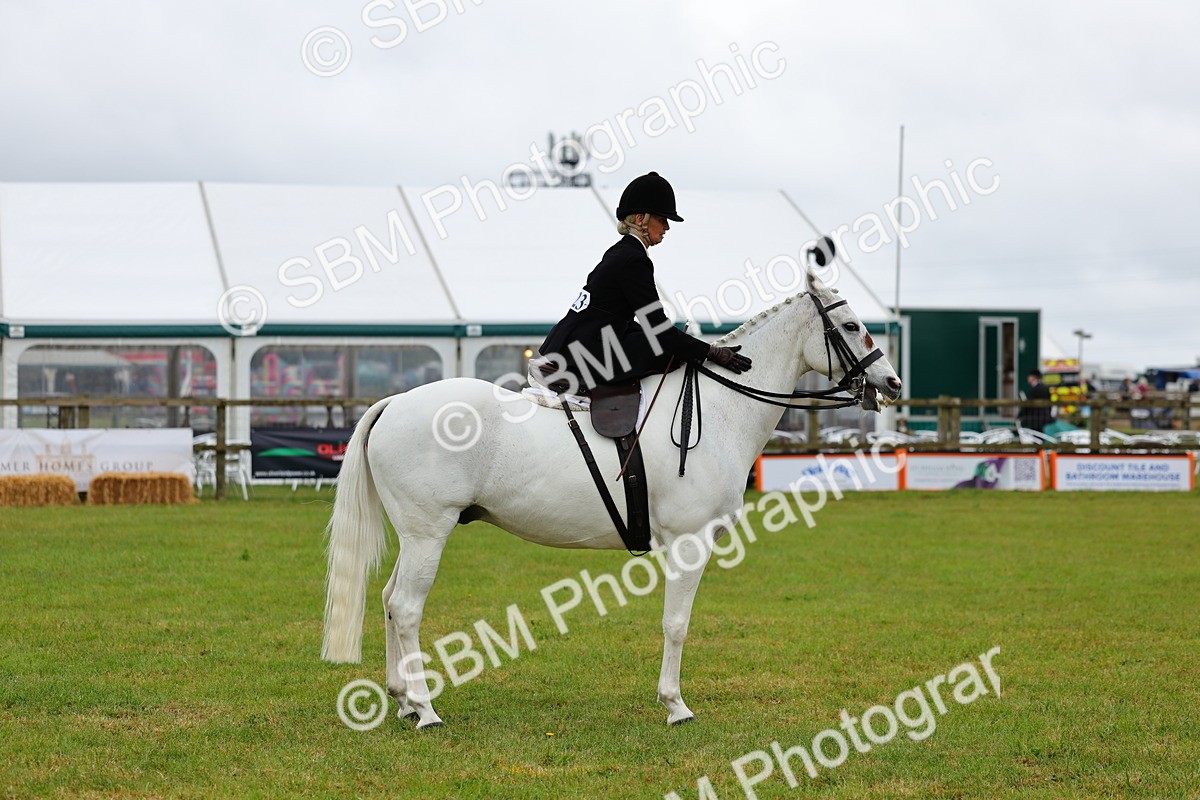 SBM_02748 - Class 9-11 Side Saddle including LIHS Rising Star Ladies Show Horse