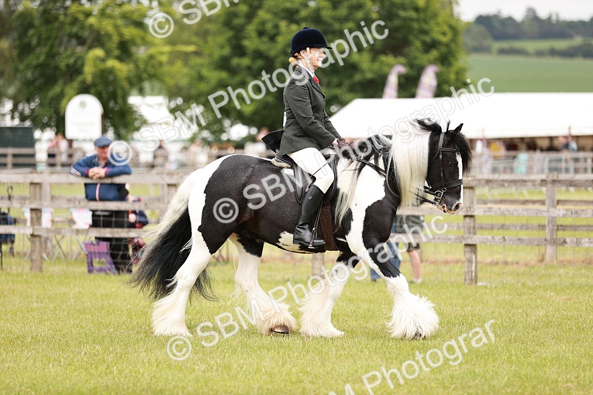 SBM_06171 - Class 39-41 TGCA In Hand and Ridden