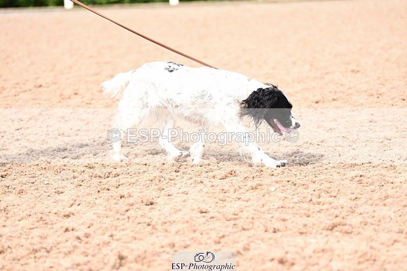 240518A-114948-00841 - Cls 2 Prettist Bitch