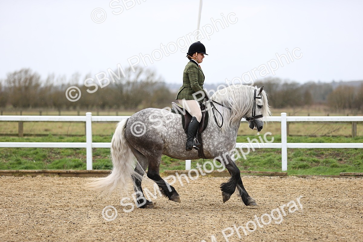 SBM_007514 - Class 31-32 - M&M Confined Novice Small-Large