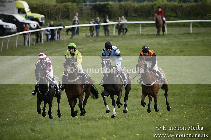 PtP 170417 313 - Old Berks Point-to-Point Lockinge 17/04/17