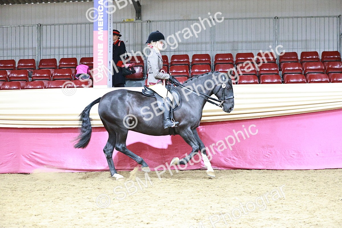 SBM_07303 - Class 10R - Regional Ridden Diamond