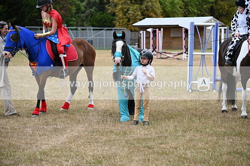 WJ6_9076 - Class 11 Fancy Dress