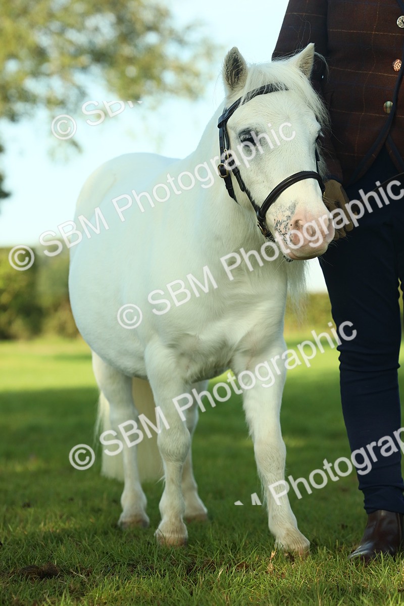 SBM_58603 - S37 - Starters In Hand Showing