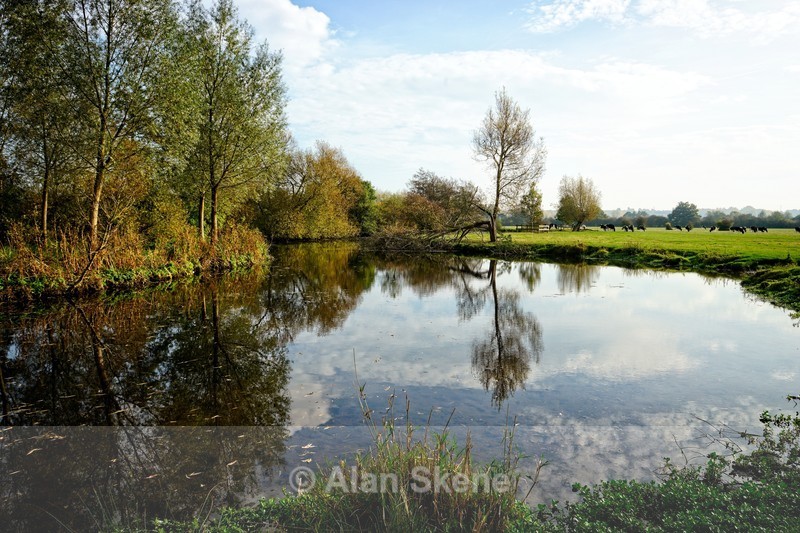 DSC01982 - Suffolk